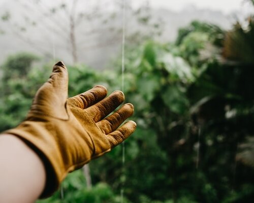 Kinder Werkhandschoenen - Kleine beschermers voor grote ontdekkers