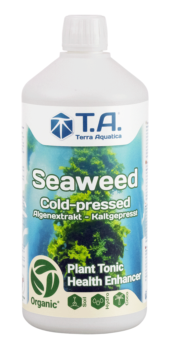 Terra Aquatica (T.A) ~ GHE Terra Aquatica - Seaweed afbeelding