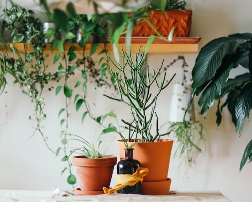 Optimale kweekomstandigheden: de synergie tussen growtenten en buisventilatoren