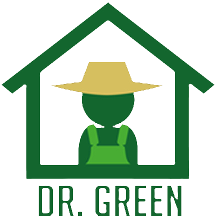 drgreen logo