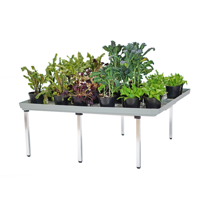 Danish growing tray - Ebb & Flood