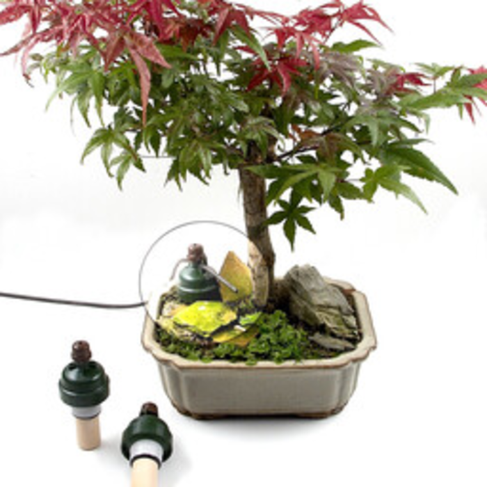 Blumat Blumat Tropf Bonsai | Humidity sensor