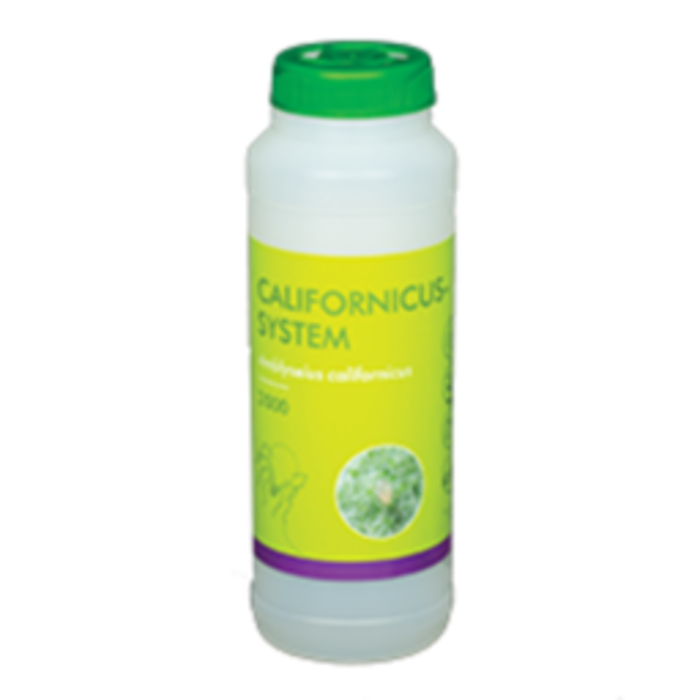 Brimex BioBest Brimex BioBest - Amblyseius Californicus (Preventive Spider Control)