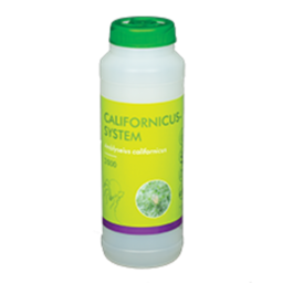 Brimex BioBest Brimex BioBest - Amblyseius Californicus (Preventief) afbeelding