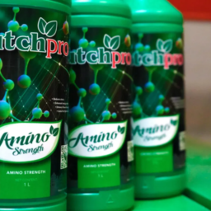 Dutch Pro Dutch Pro Amino Strength | Enhancing plant strength and development