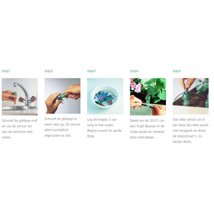 Blumat Blumat Losse voeler met slang en t-stuk