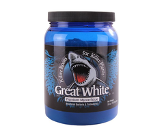 Great White Great White