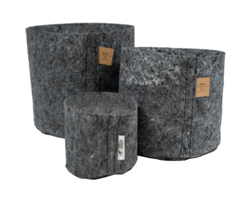 Groen geluk in klein formaat: De kunst van het kweken in potten en bakken