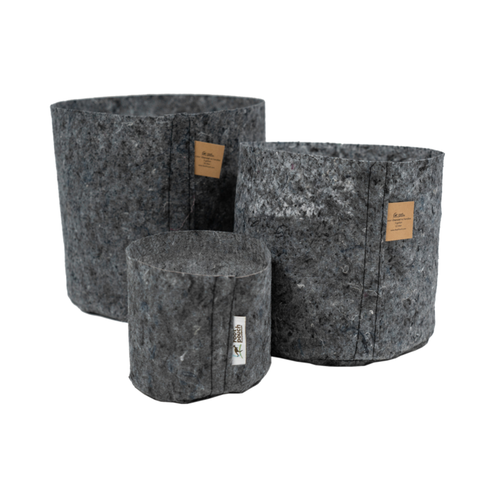 Groen geluk in klein formaat: De kunst van het kweken in potten en bakken