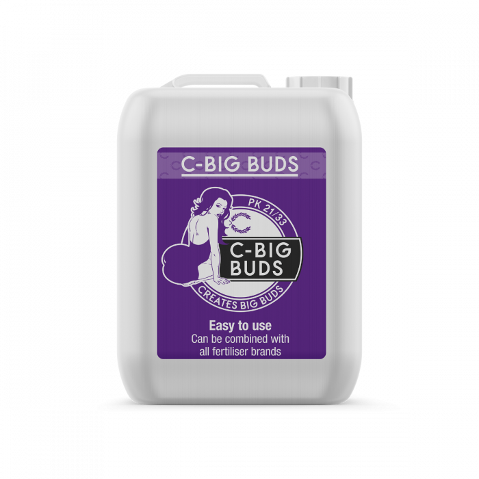 C-Result C-Result | C-Big Buds