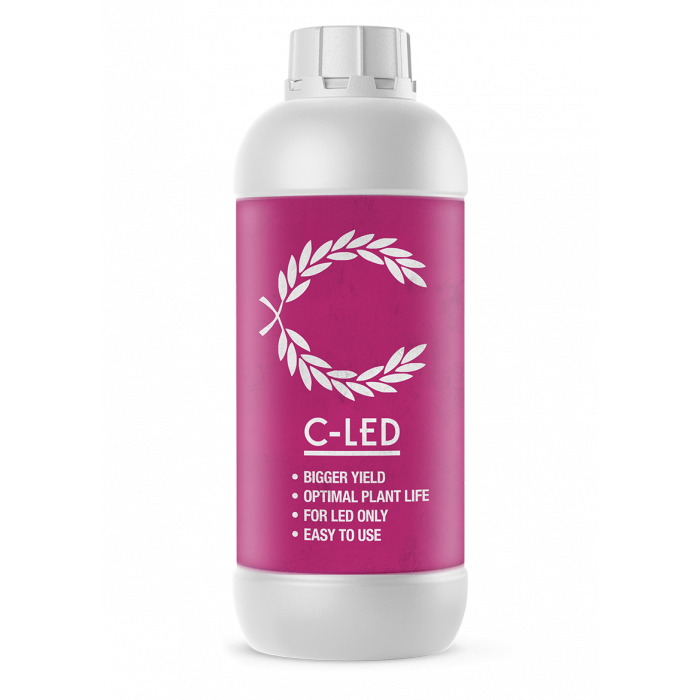 C-Result C-Result | C-LED