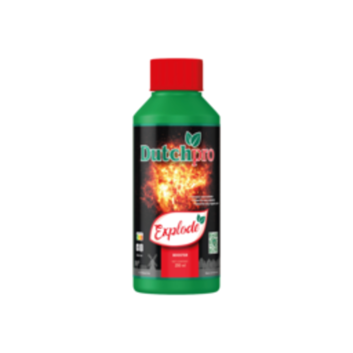 Dutch Pro Dutch Pro Explode | Bloei Booster