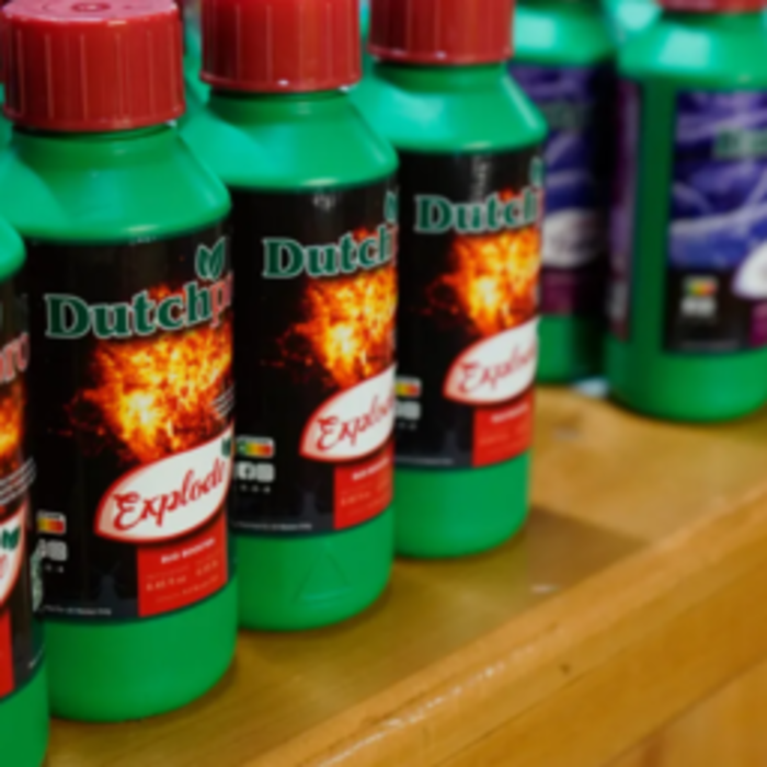 Dutch Pro Dutch Pro Explode | Bloei Booster