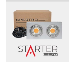 Spectro Light Spectro Light | STARTER 250