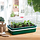 Garland One Top Heated Propagator | 8 watt