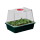 Garland Kleine High Dome Propagator | 23x17x18cm