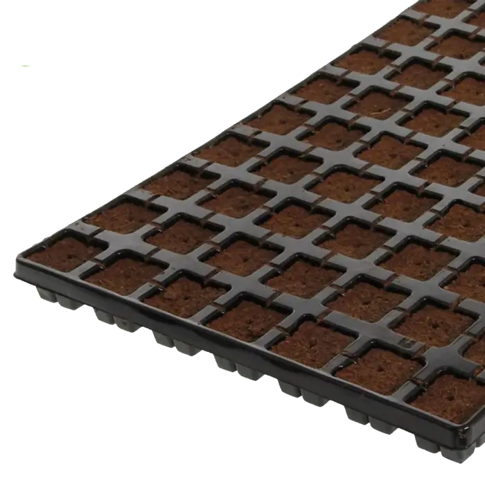 Eazyplug Eazy plug | Stekken plug tray CT - 6 / 12 / 24 / 77 / 104 / 150 stuks