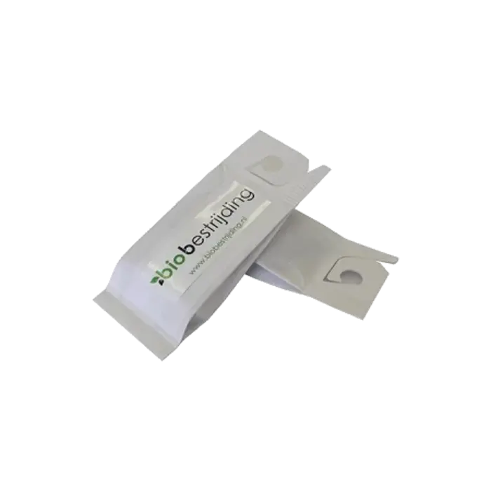 Biobestrijding BioBestrijding | Roofkever Volwassen(Lieveheersbeestje) tegen Schildluis