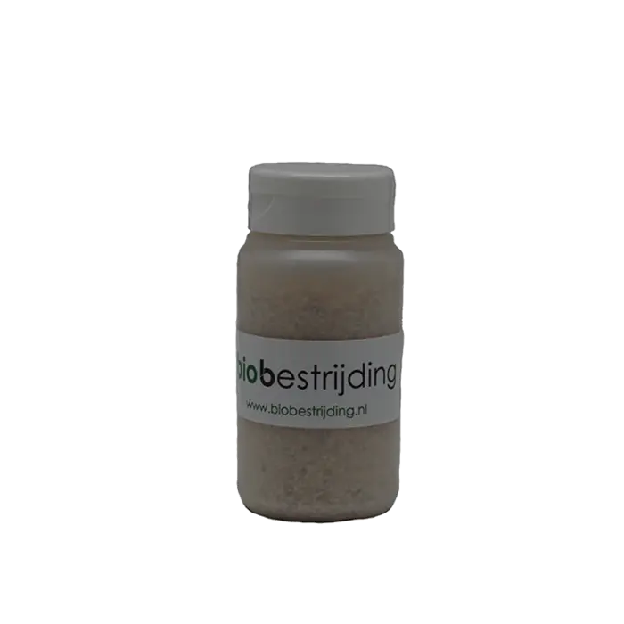 Biobestrijding BioBestrijding | Predatory Mite against Spider Mite Corrective ~ Phytoseiulus Persimilis