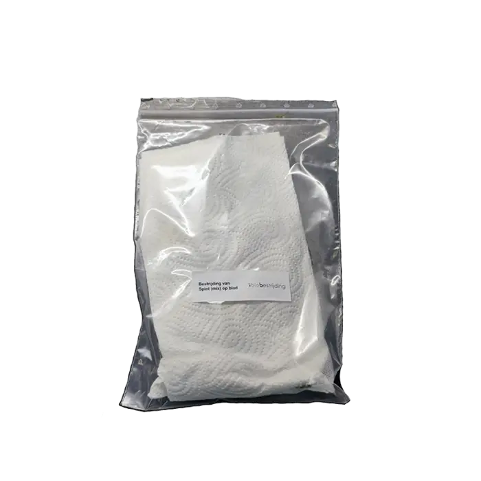 Biobestrijding BioBestrijding | Predatory Mite Mix against Spider mites ~ 1000 Amblyseius californicus & 500 Phytoseiulus persimilis