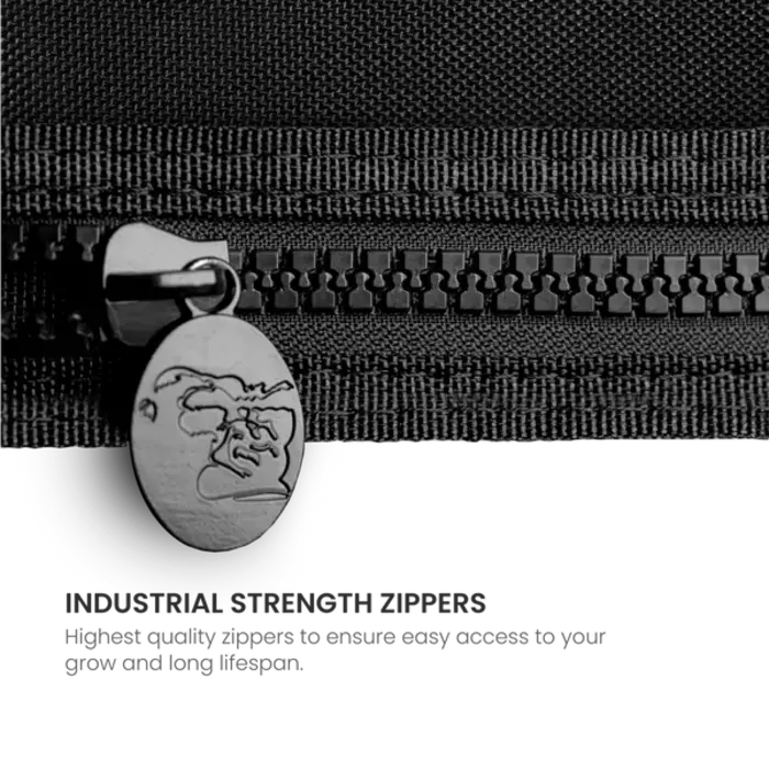 Gorilla Gorilla Shorty SH Kweektent