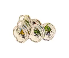 Glass Leaf Glass Leafs - Ashtray