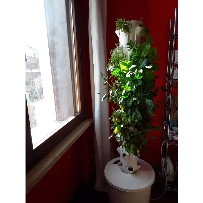 Hydroponic Vertical Garden Hydroponic Vertical Garden - Cultivation System