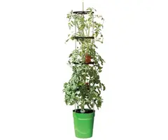 Garland Garland Self-Watering Pot