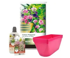 Pokon Pokon Terrace & Balcony Gift Set - Potting Soil