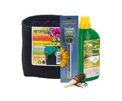 Pokon Pokon Kamperplant Plantlover Cadeauset