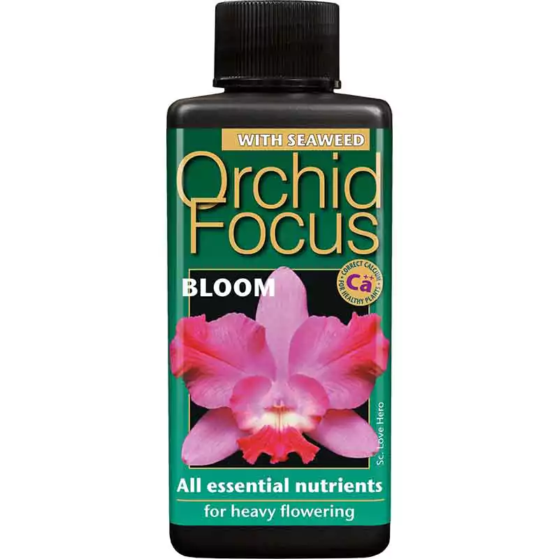Growth Technology Growth Technology Orchid Focus Bloom