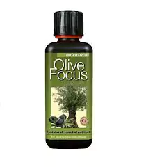 Olive Focus - 300ml bemesting voor optimale prestaties voor olijfbomen (goed voor 30 liter) | Olijf voeding