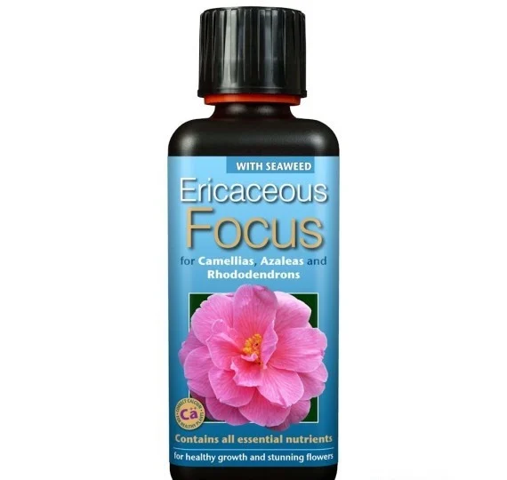 Camellia focus 300ml - Voor een prachtige bloei en gezonde Camelia's, Rhododnedrons en Azalea's in pot!