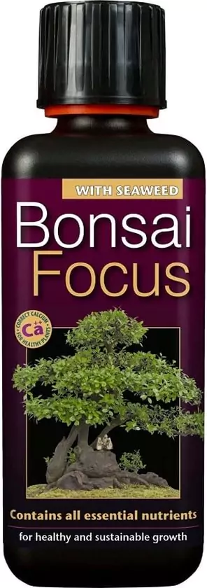 Growth Technology Growth Technology Bonsai Focus