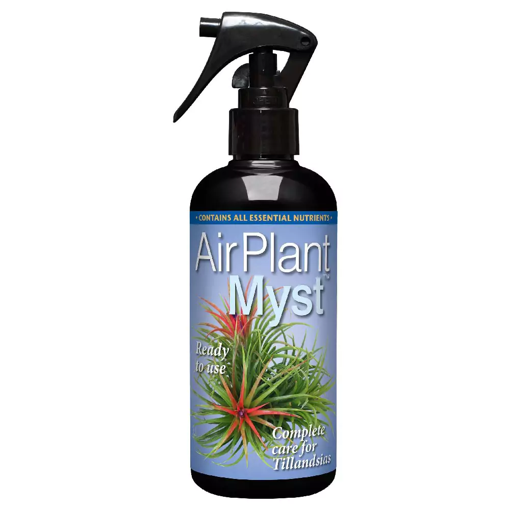 Growth Technology Growth Technology Air Plant Myst