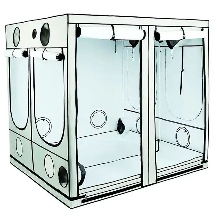 HOMEbox HOMEbox Ambient - Kweektent