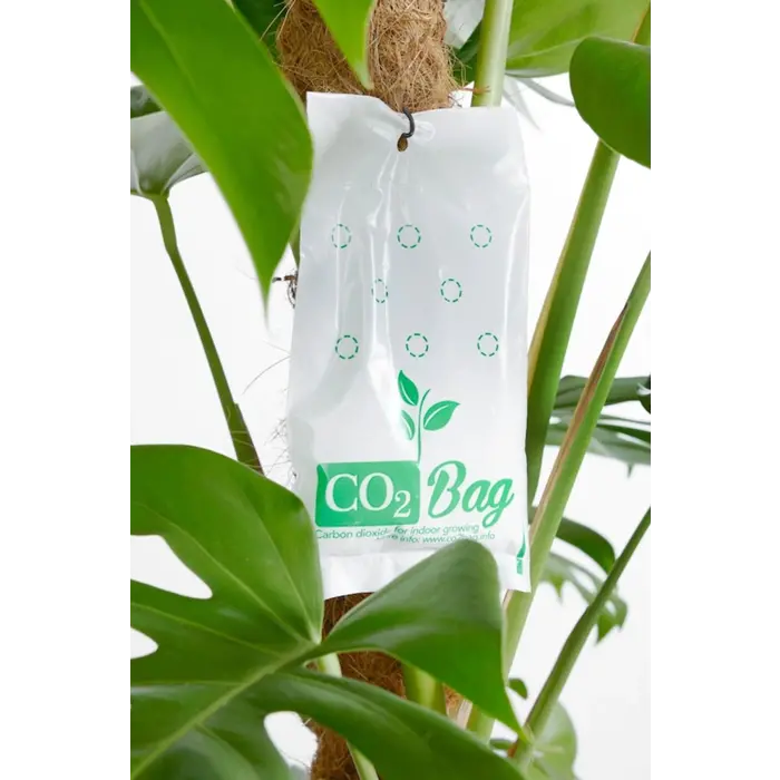 CO2BAG CO2BAG | Carbon Dioxide Bag