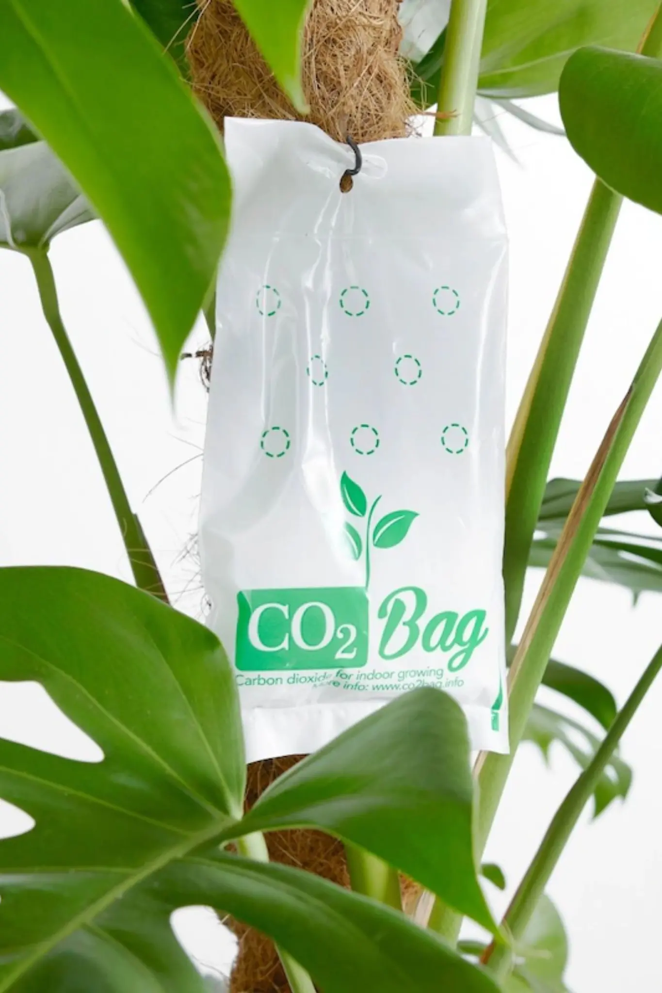 CO2BAG CO2BAG | Kooldioxidezak afbeelding