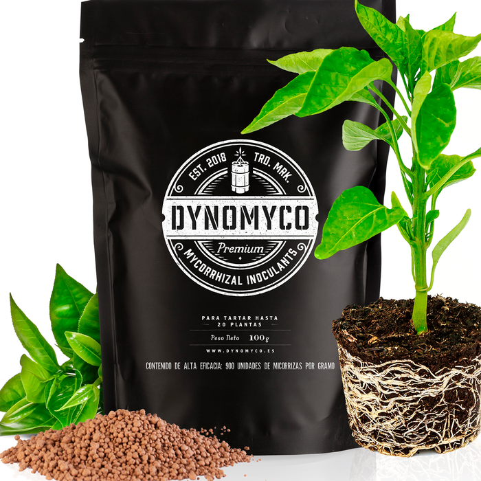 Dynomyco Dynomyco Mycorrhizal - Plantenvoeding