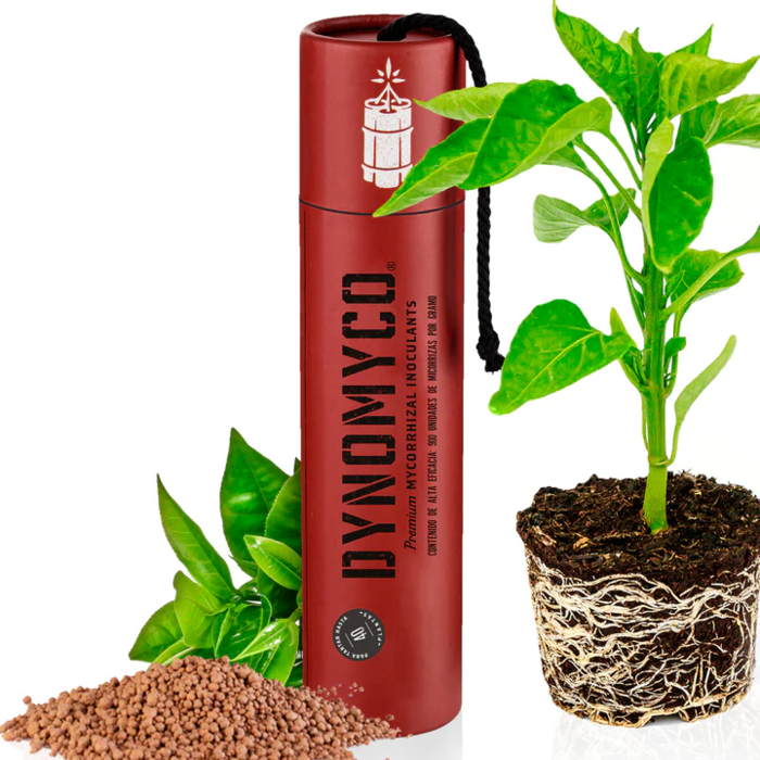 Dynomyco Dynomyco Mycorrhizal - Plantenvoeding