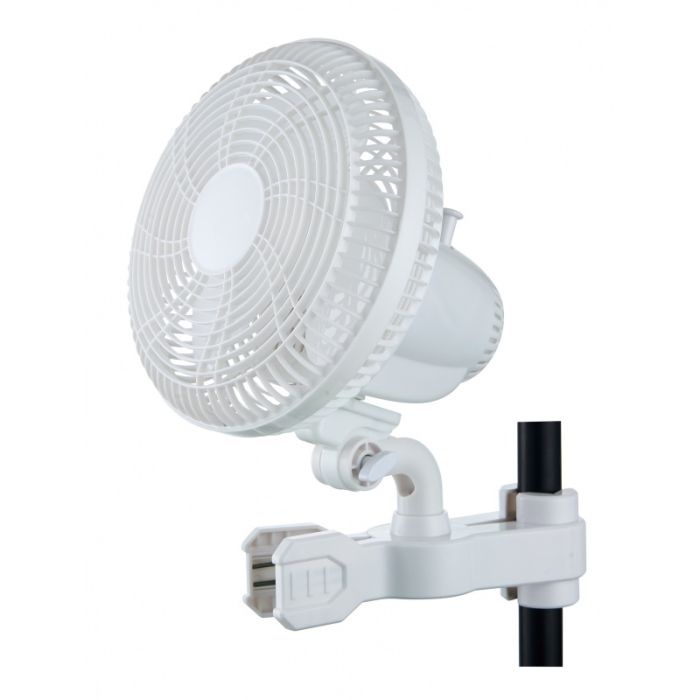 Hortistar Hortistar Monkeyfan afbeelding
