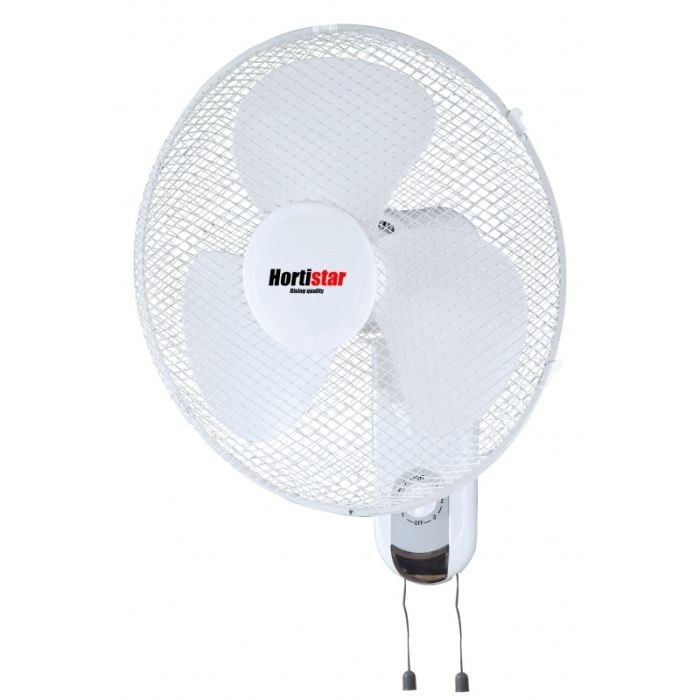 Hortistar Hortistar Wallfan afbeelding