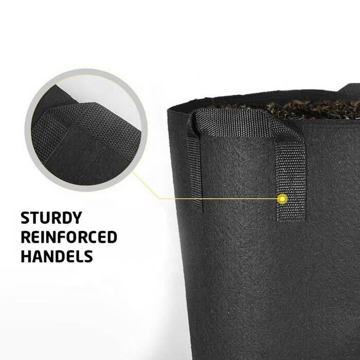 EU EU Complete Grow Box - 100x100x200cm + Quantumboard LED 240W LED V4