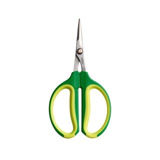 Romberg Romberg Schaar