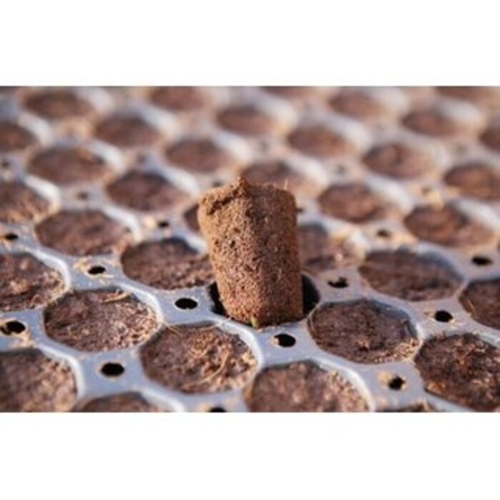 Jiffy Jiffy Plugs 104 Tray