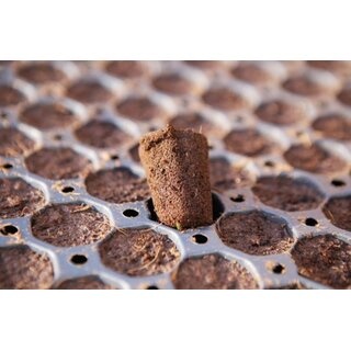 Jiffy Jiffy Plugs 104 Tray - Propagation Tray