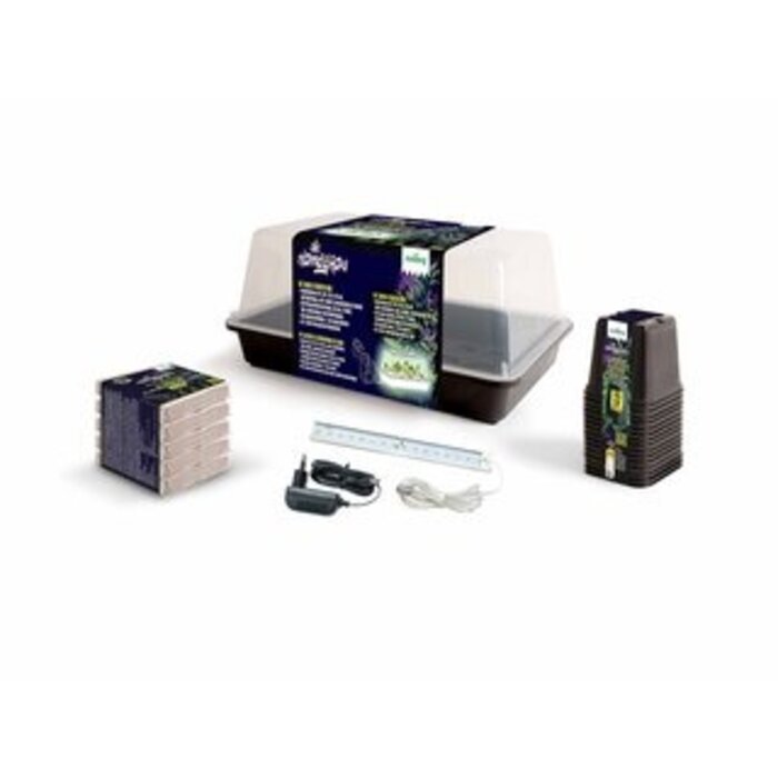 Romberg Romberg Homegrow Basic Starter Box - Starterset