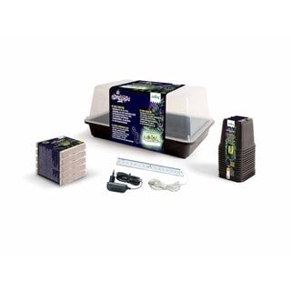 Romberg Romberg Homegrow Basic Starter Box - Starterset
