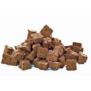 Eazyplug Eazy Plug 1000 Bulk - Propagation Plugs