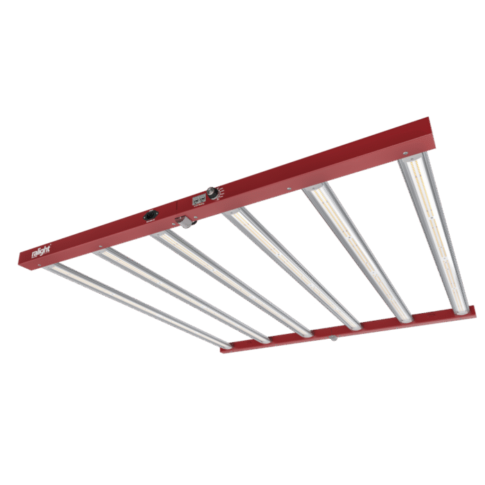 ralight Ralight LED - Kweeklamp